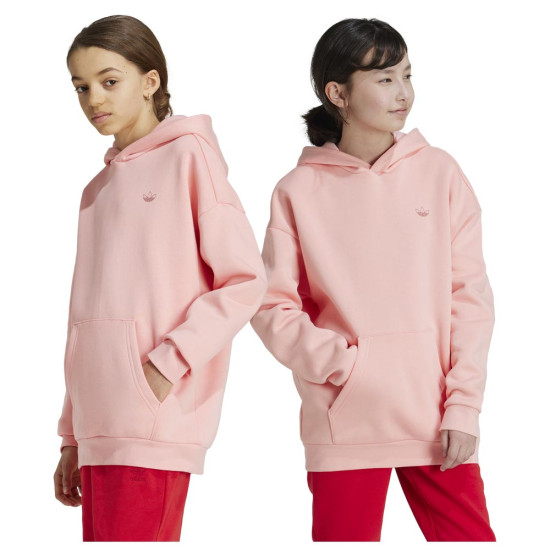 Adidas Παιδικό φούτερ Graphic Hoodie Kinds